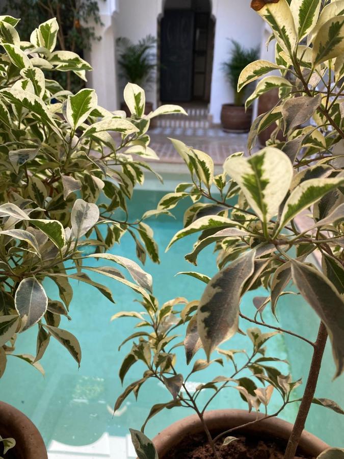Riad Magellan Yoga And Spa Marraquexe Exterior foto